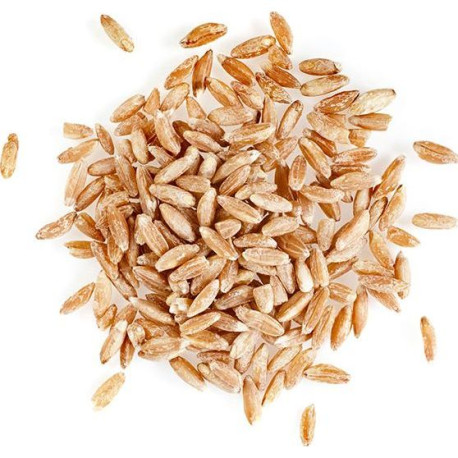 *PRODUIT BLOQUE* BIO PETIT EPEAUTRE 25KG